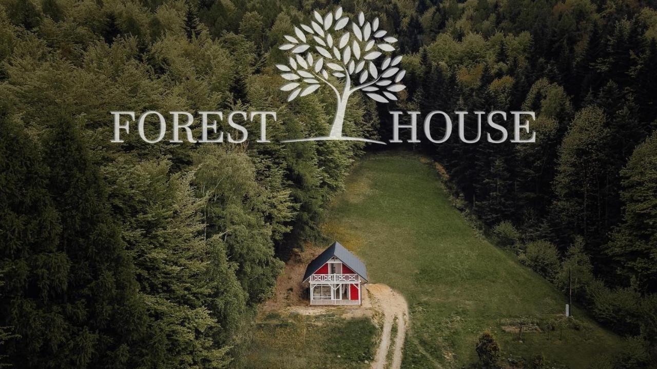 Forest House Targanice Esterno foto