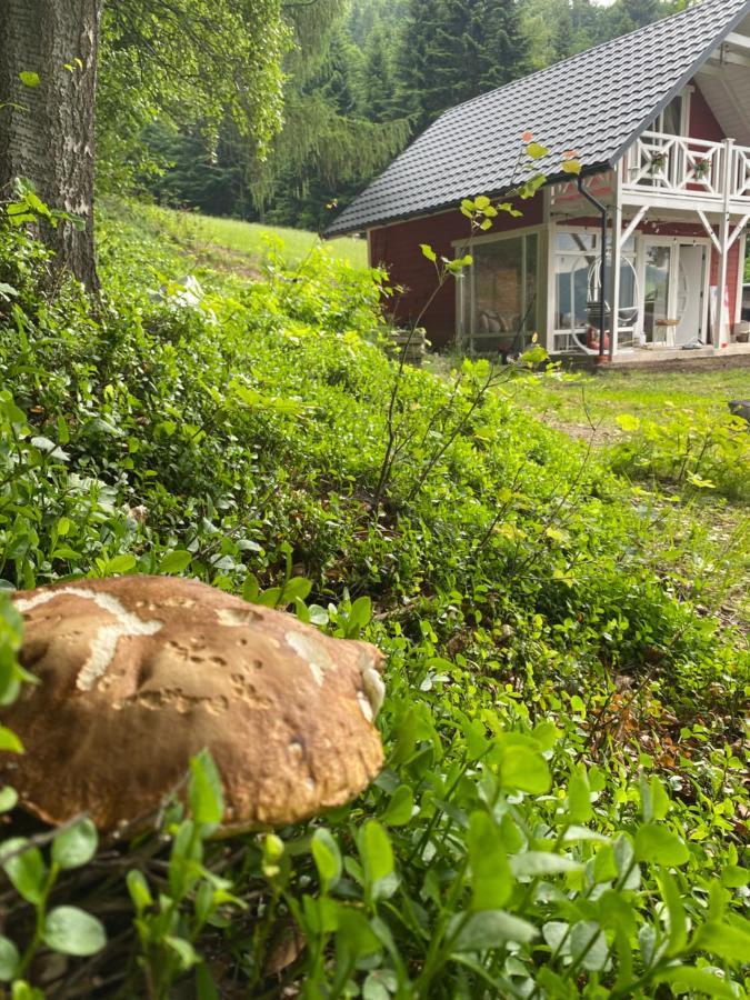 Forest House Targanice Esterno foto