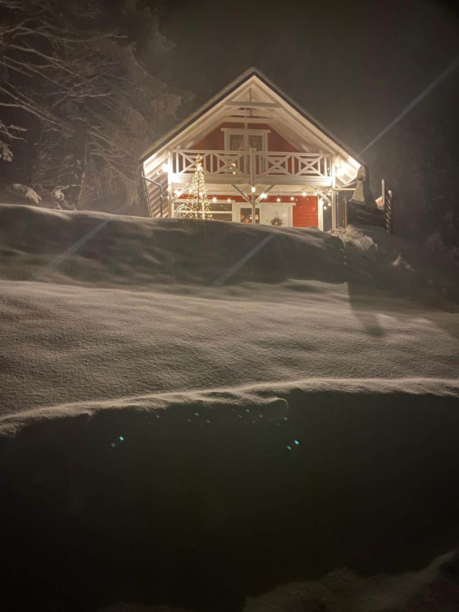 Forest House Targanice Esterno foto