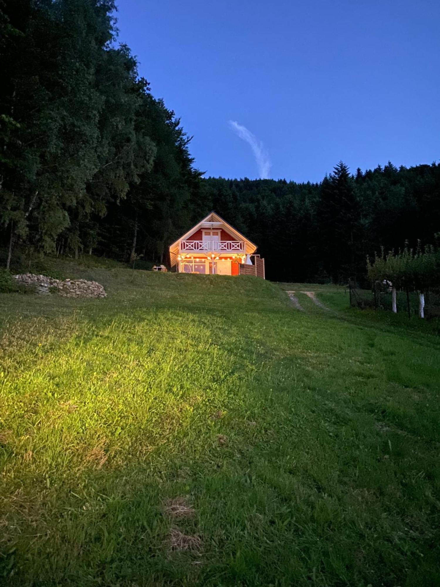 Forest House Targanice Esterno foto